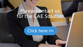 Plase contact us about the CAE Solution Click here