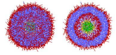 Figure 1. Lipid Nanoparticle (LNP) calculated with DPD (Right : cross section)