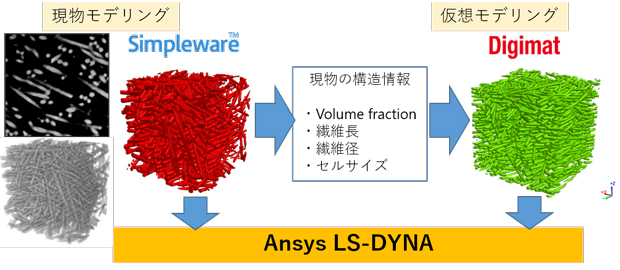 }1. Simpleware	 / Digimat / Ansys LS-DYNȂ݊֌W