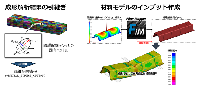 Figure 4@Moldex3D̗͂ɂēꂽ@۔zzAnsys LS-DYNA̍\͂Ƀ}bsOJ-Composites Fiber Mapper\[VB