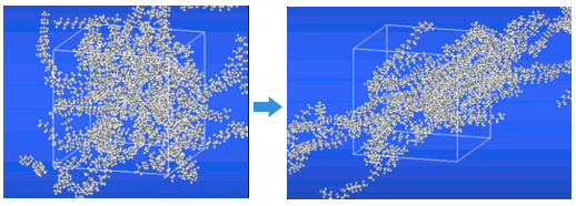 Simulation system under Lees-Edwards boundary condition