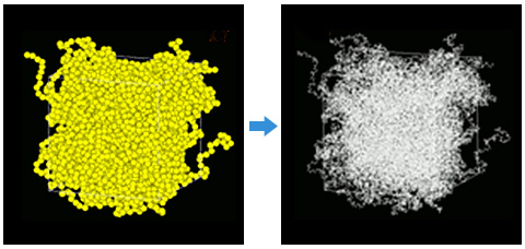 Phase separated structure of polymer thin film caused by solvent evaporation