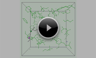 Simulation of crosslinking reaction̓