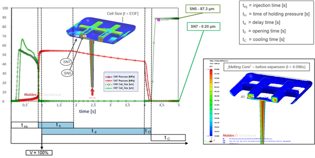 Fig. 4  cGAAiSN5jƔcGABiSN7jɂAZT[m[ḧ͂ƋCATCYXYȐ