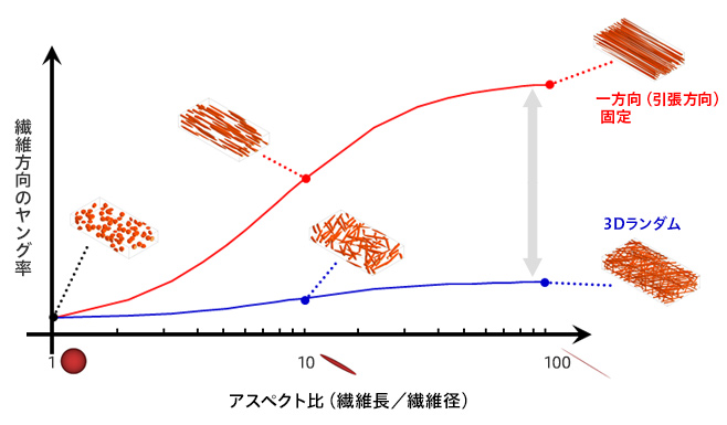 繊維のアスペクト比と配向によるヤング率の変化