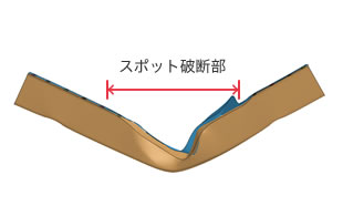 解析結果(側面視)