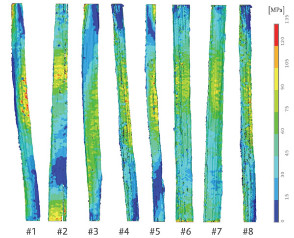 FEM解析の結果で得られたケナフ繊維の応力分布