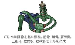 Simplewareで作成した上肢モデル