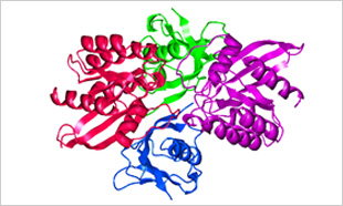 J-OCTAで描画したタンパク質