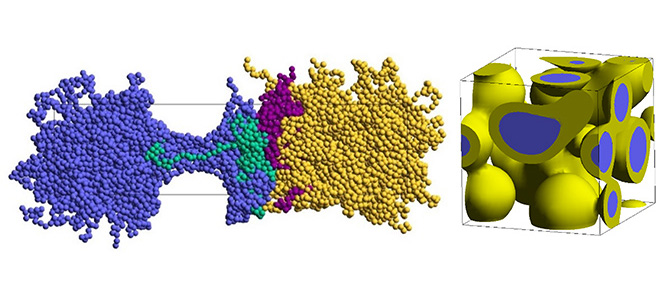図1． 異なる樹脂が形成する界面と相容化剤（左）、相分離構造（右）