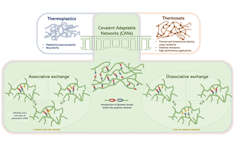 図4．CANs（Covalent Adaptable Networks）の種類 [8]。 解離型（dissociative）と会合型（associative）に分類され、ビトリマーは後者の代表例。