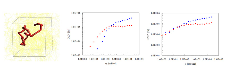 図3. 絡み合い高分子の運動のシミュレーション例 （左：高分子鎖を管で表現、中央：粘弾性マスターカーブ、 右：架橋により粘弾性マスターカーブが変化）