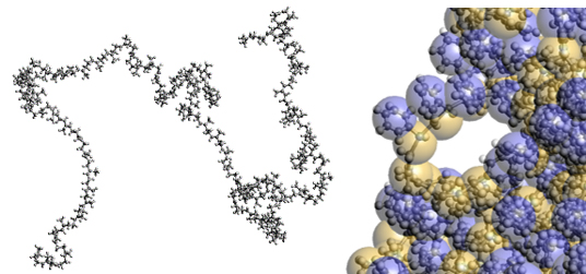 図2 左:FAMDによるPolyisopreneの分子構造、右:CGMDのイメージ