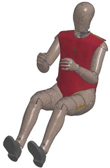 Fig. 2 Humanetics製 THOR 50th Euro NCAP v.1.6