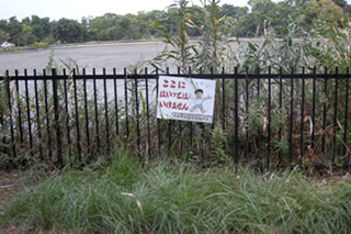 [写真2]&nbsp;大阪の公園